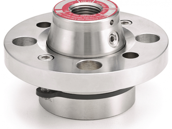 Flanged Diaphragm Seals